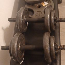 Weight Dumbell And Bench