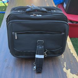 in-flight luggage
