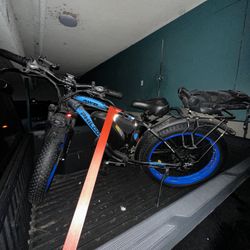 Philodo H8 Electric Bike 