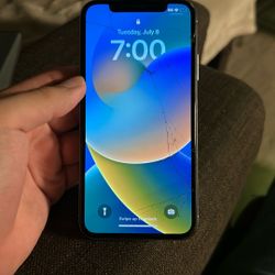 iPhone X