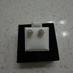 Gold Plated Earrings 