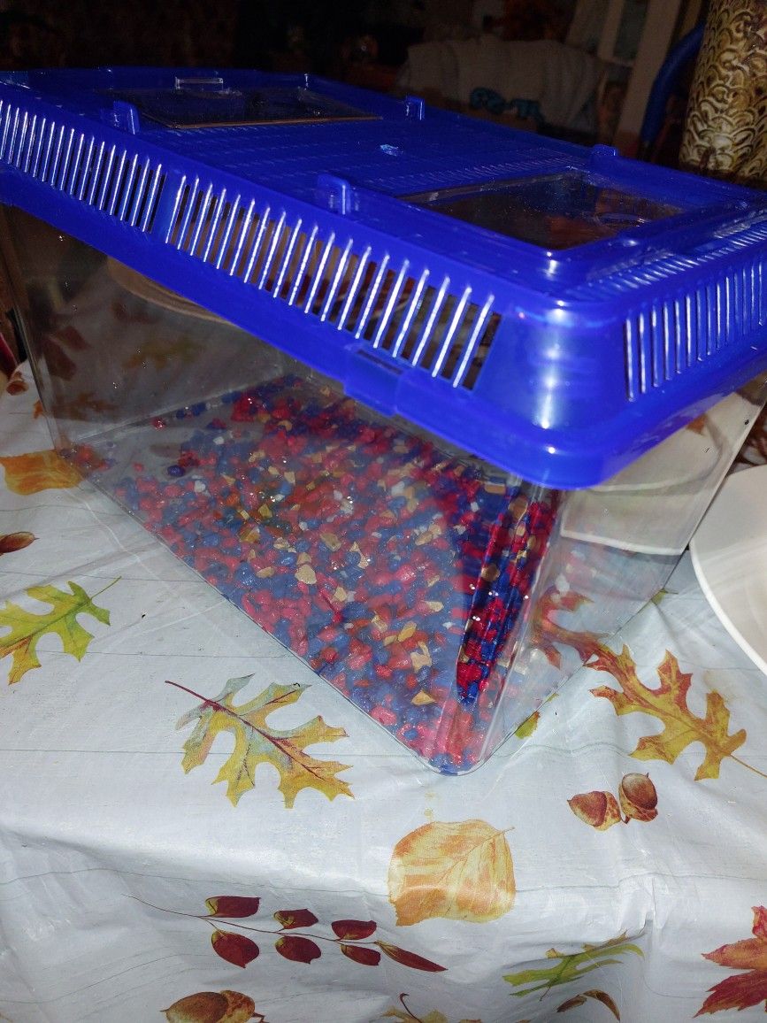 Pecera Nueva 15× 8 Pulgadas