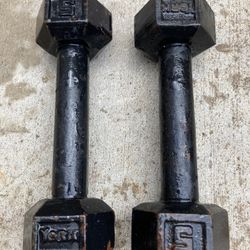 5 Lb Dumbbells Set