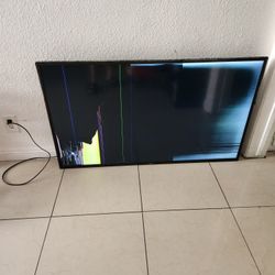 VIZIO 55 INCH TV (BROKEN)