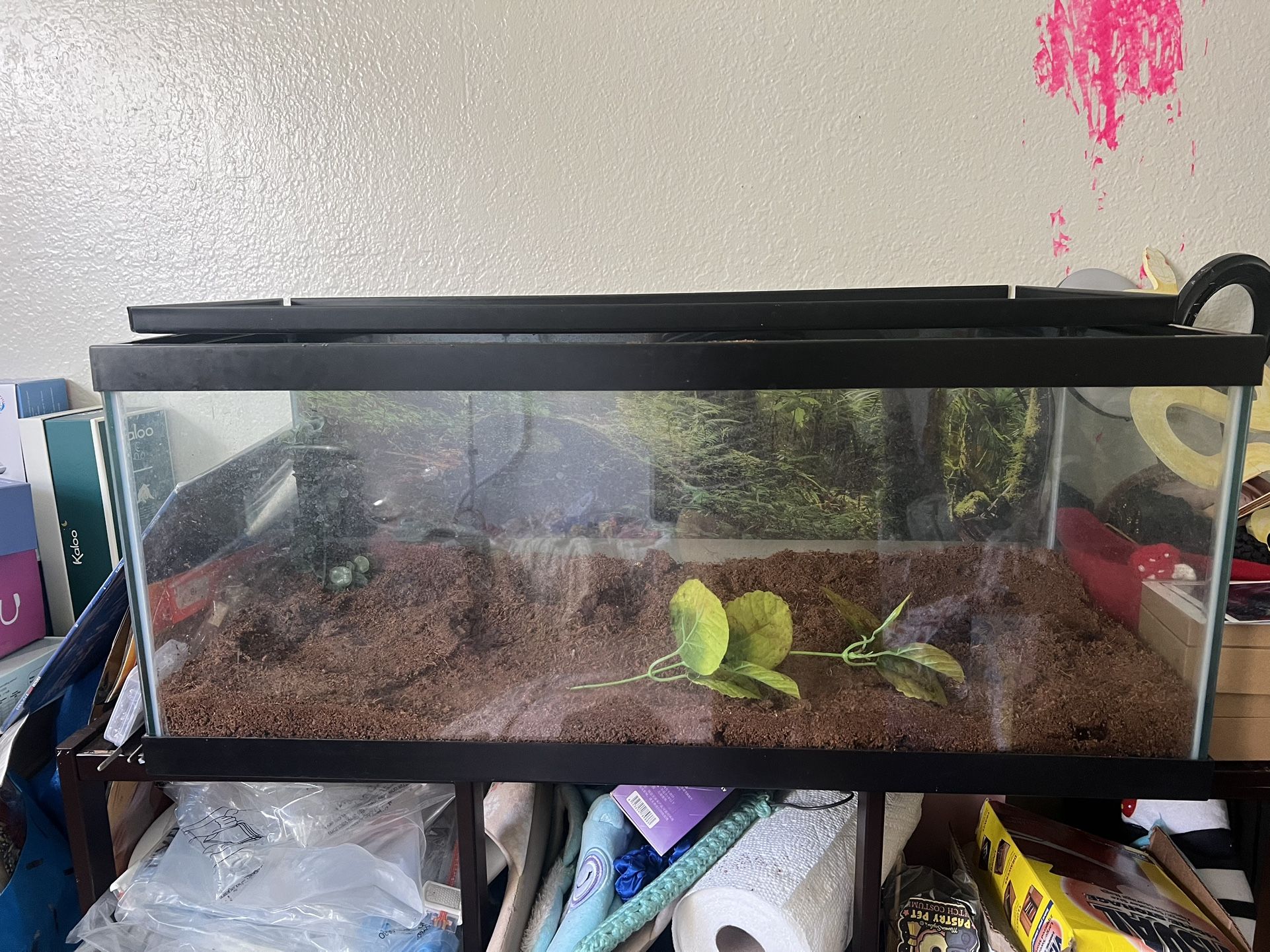 20 Gallon Tank With Lid