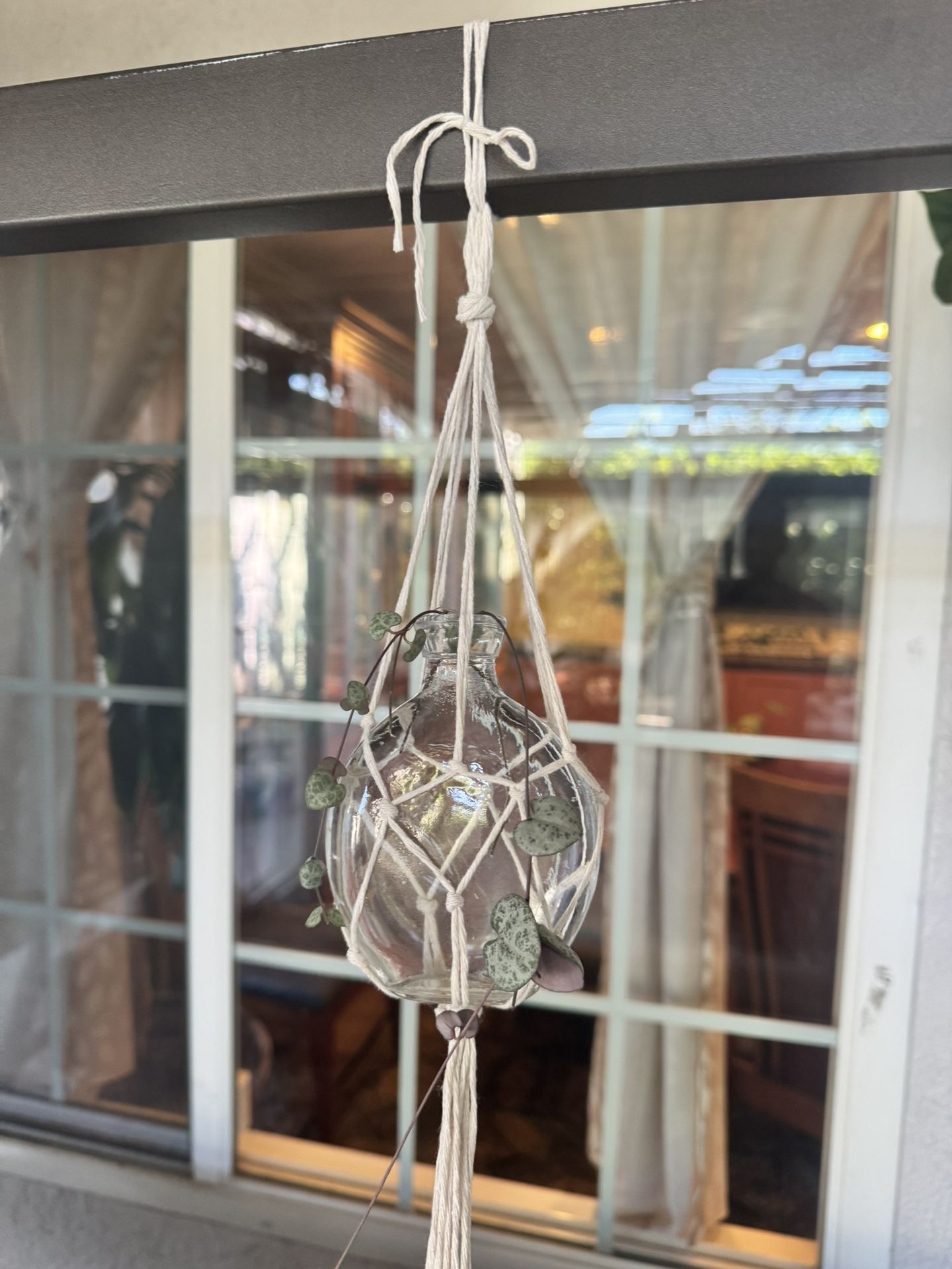 Macrame hanging plant With String Of Hearts Plant