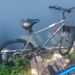 Road master Granitepeak XL bike