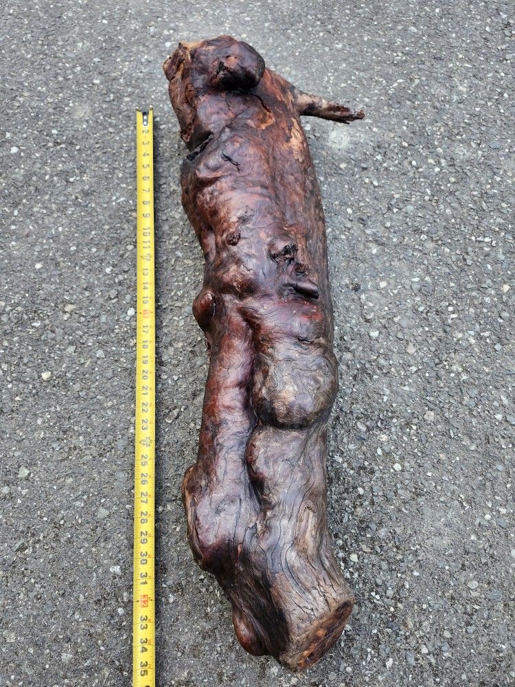 Wood Burl / Root