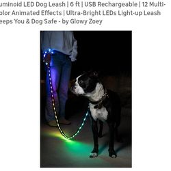NEW LED DOG LEASH 6FT USB RECHARGEABLE