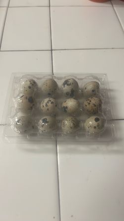 Huevos de codorniz