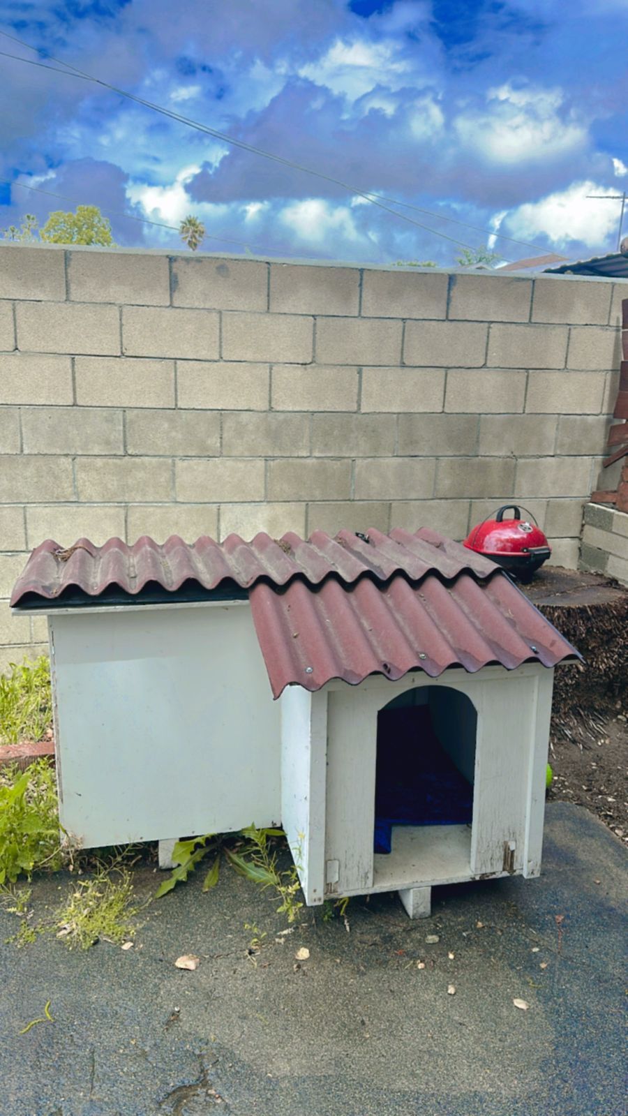 Dog House