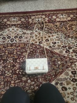 Small BEBE purse