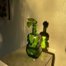 Small Plants