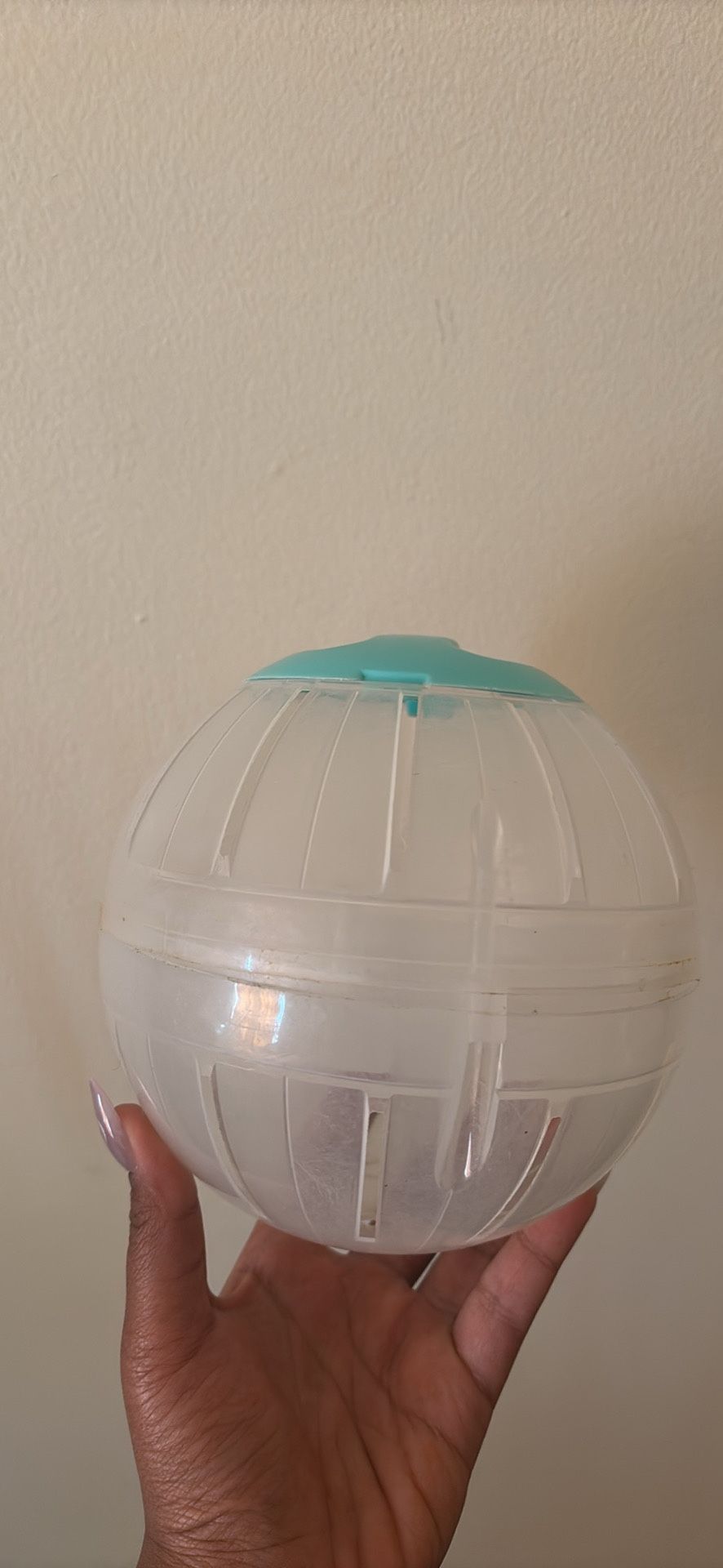 Hamster Ball