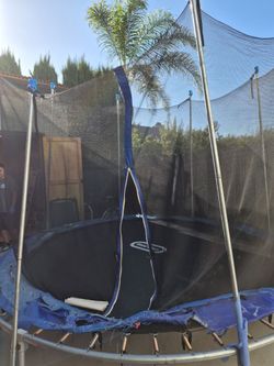 Free Trampoline