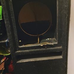Subwoofer Box
