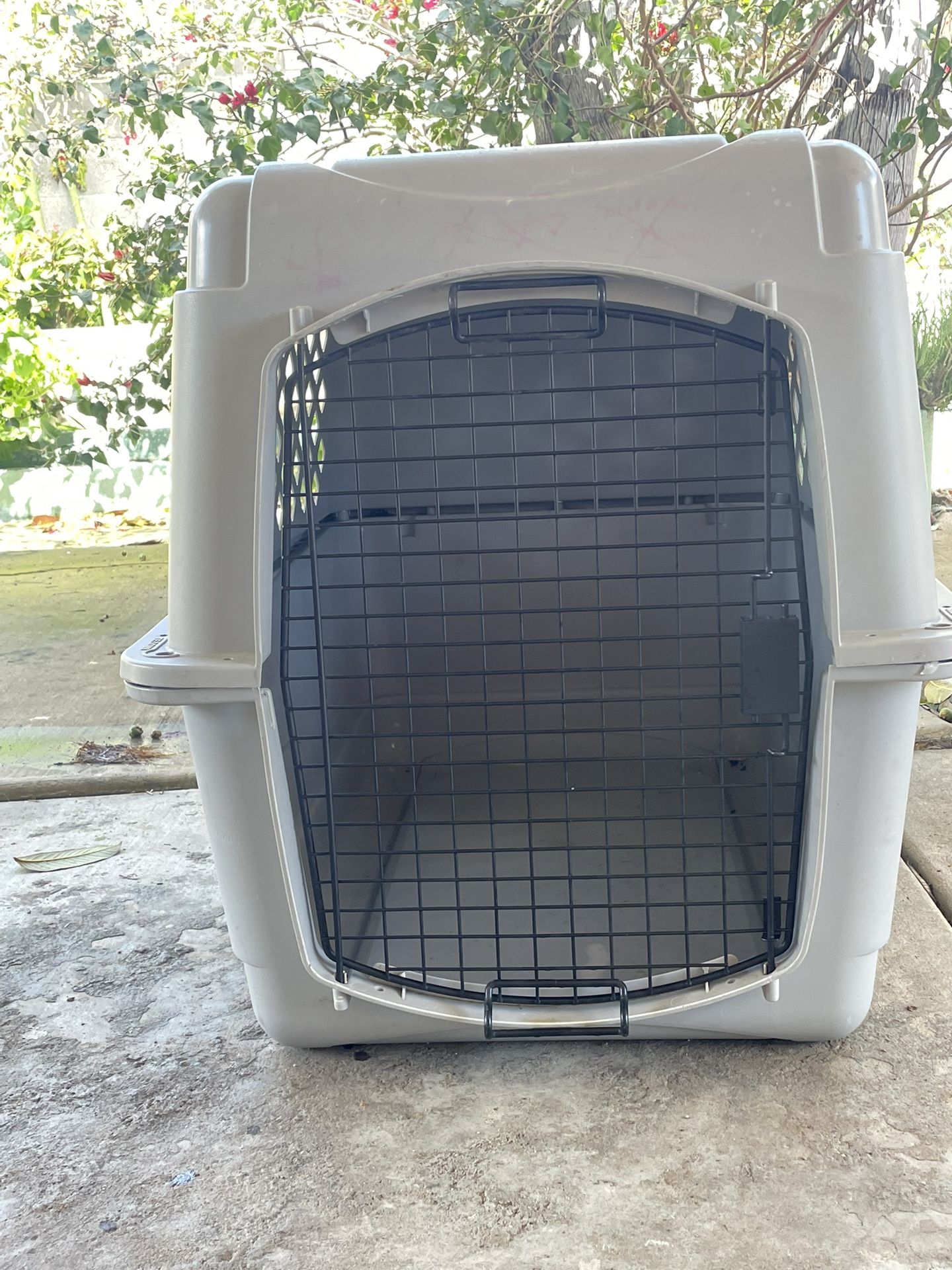 Dog Kennel
