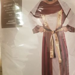 Halloween costume 