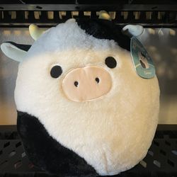 16” Fuzzy Connor Squishmallow (fuzzmallow)