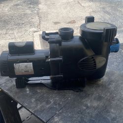 Pool Pump Jandy 1.0HP
