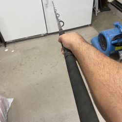 Penn Fierce II Spinning Rod / Pole