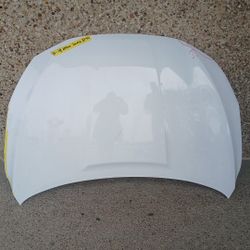 2016-19 Nissan Sentra Hood