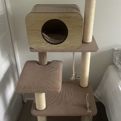 Cat House/Gym