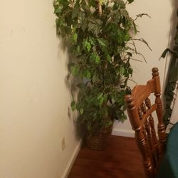 Fake Plant