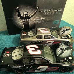 Dale Earnhardt Foundation 1:24   2 Car Set