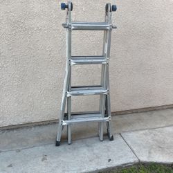 Ladder-Werner 