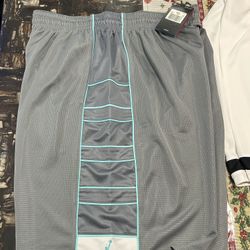 Mens Jordan 11 Dry fit Shorts - Size 2xl 