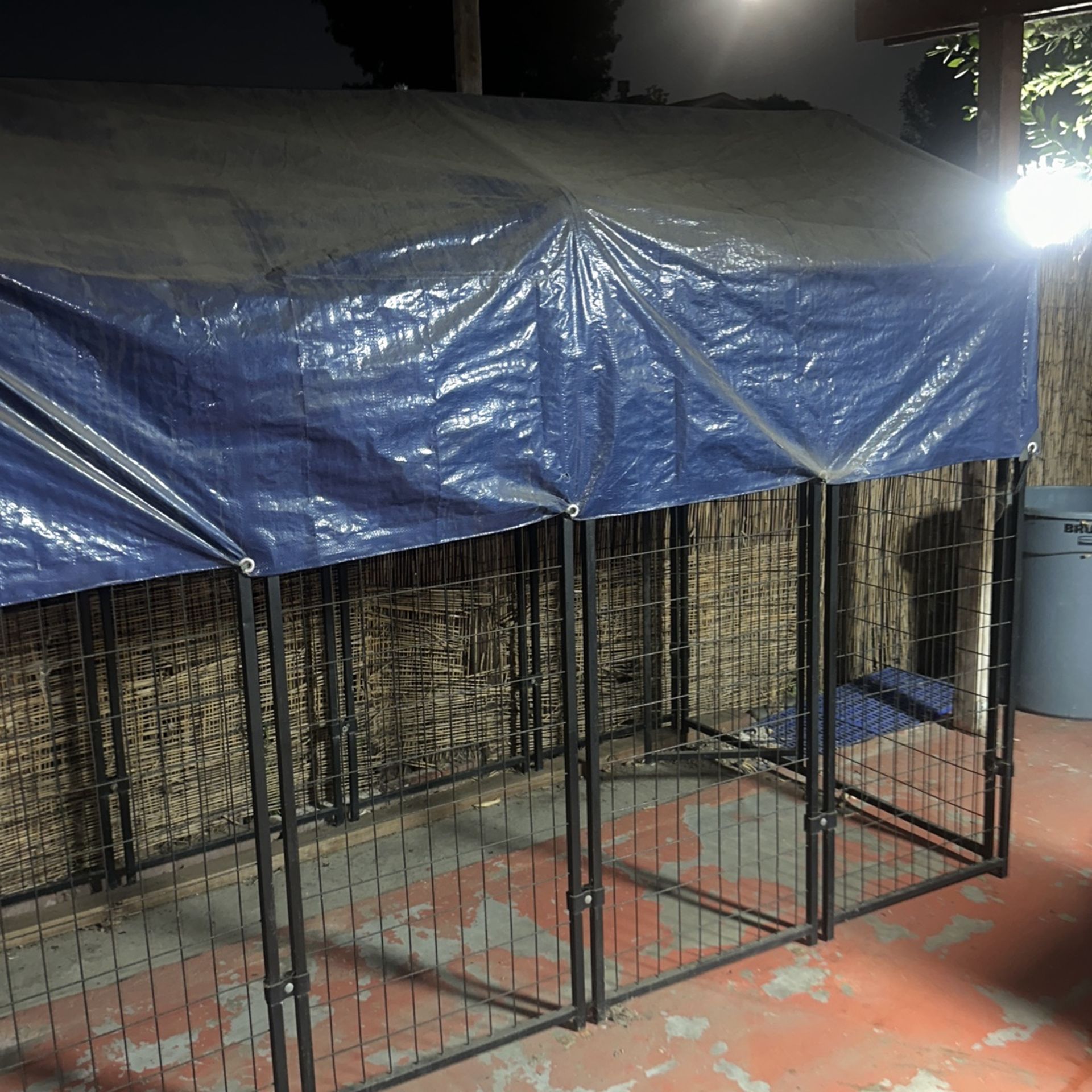 Dog Kennel