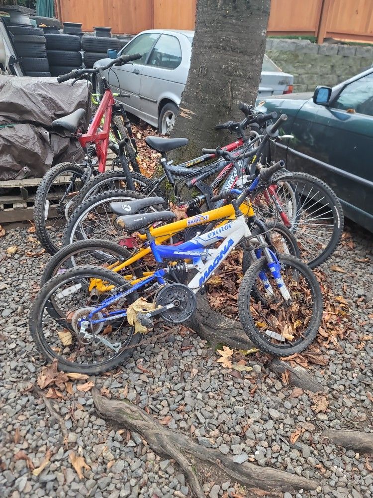 7 Bikes