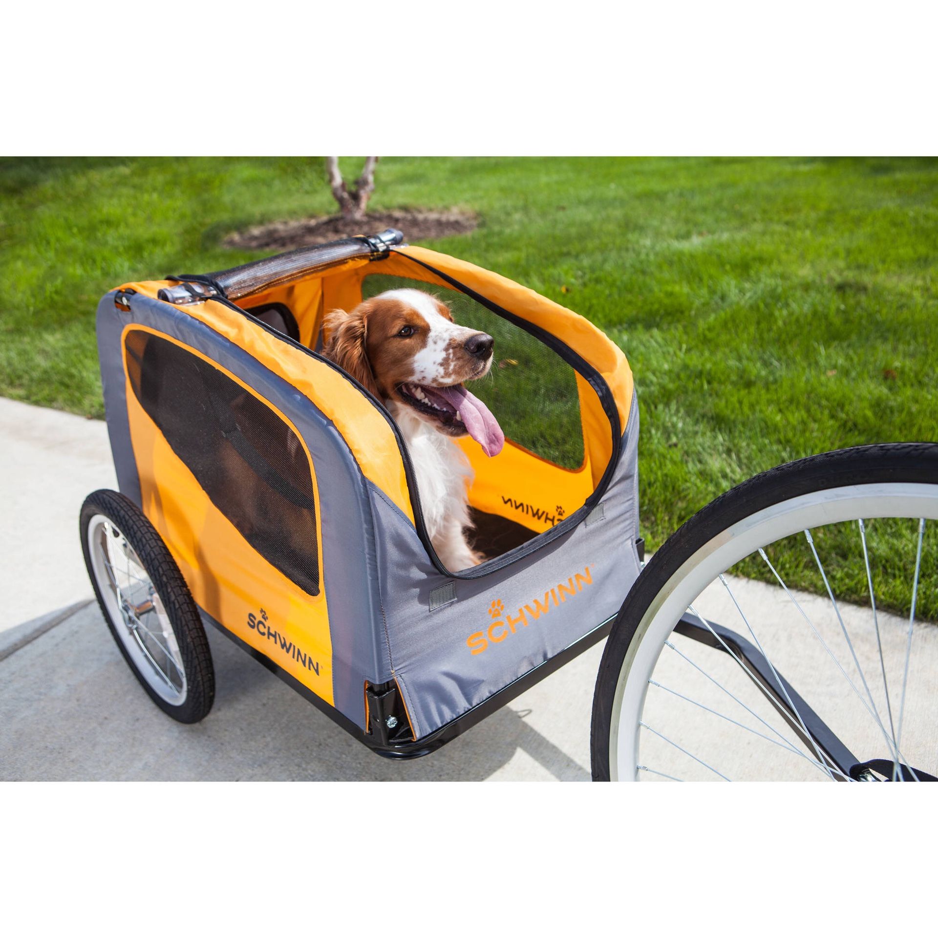 Schwinn bike pet trailer