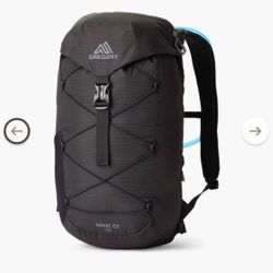 Gregory Nano 22 Backpack