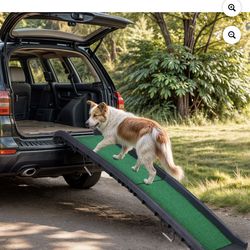 Pet ramps!