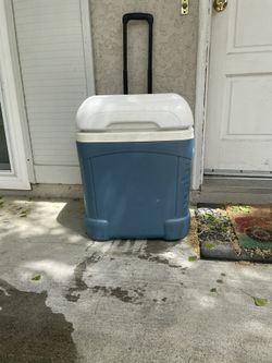 Igloo Cooler