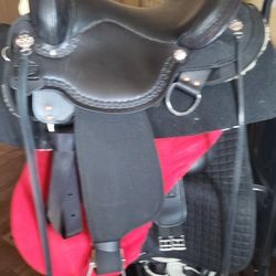 New Circle Y Highhorse Daisetta 