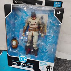 Batman DC multiverse