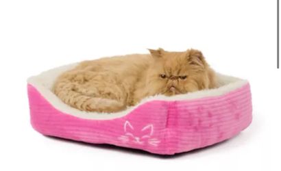 Kittens carrier