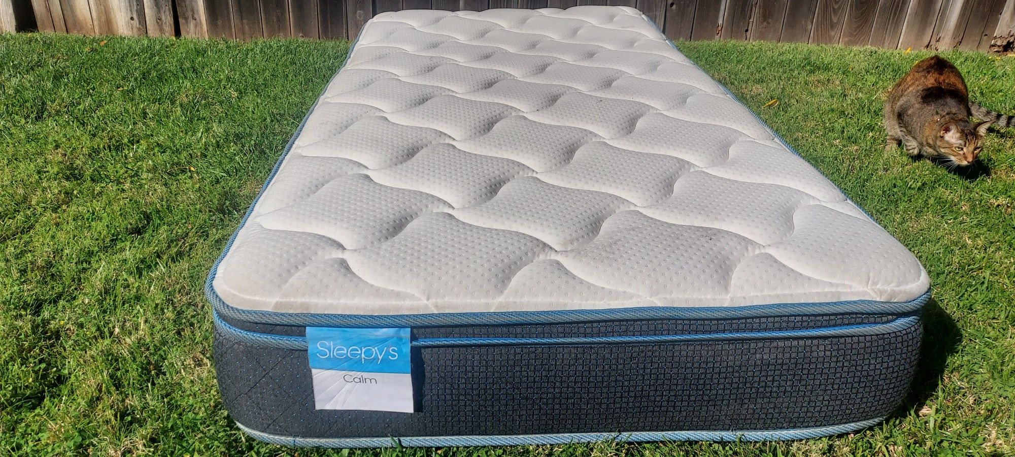 Calm 9" Medium Euro Top Memory Foam Twin Mattress