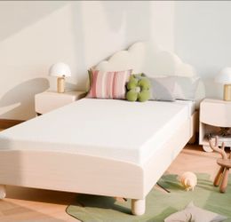 Twin Mattress 5 inch
