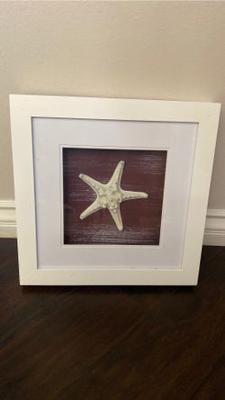 Frame (sea star)