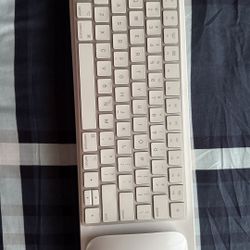 Magic Keyboard & Mouse