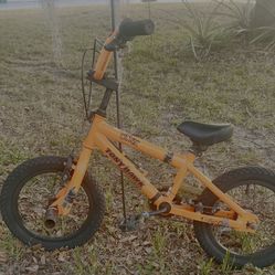 Tony Hawk Huck Jam Otter Toddler Bike