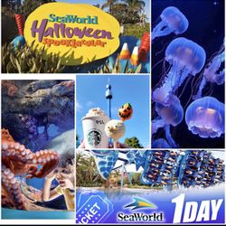 Seaworld tickets X4 Expires September 30th