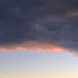 Need Someone To Dig In 