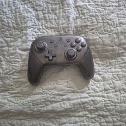 Nintendo Switch Controller