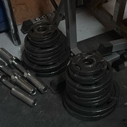 Weights + Bench Press