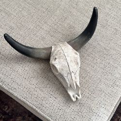 Decorative Horned Skull